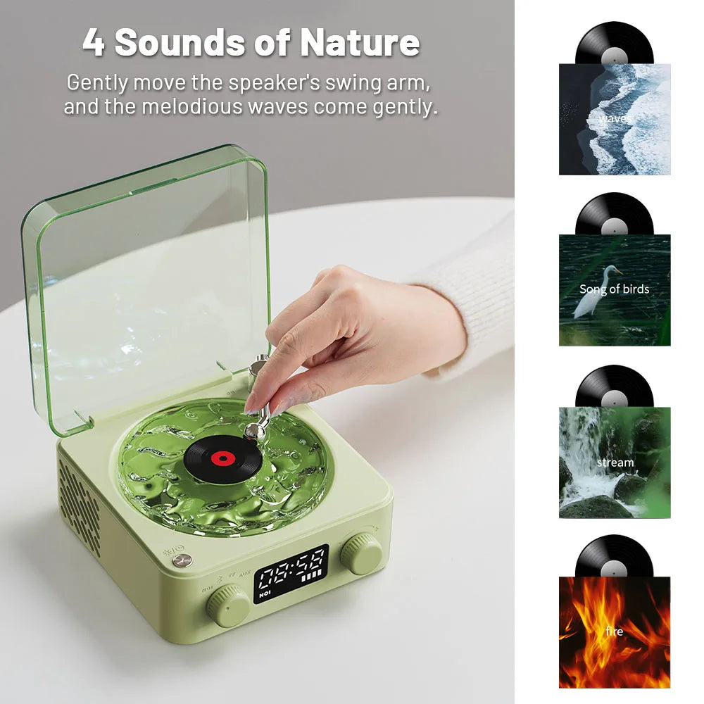 Vinyl Future Bluetooth Speaker Portable